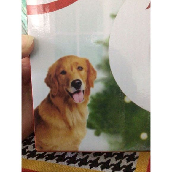 Paw Prints Ornament Kit Keepsake Pet Paw Print NO MIXING, BAKING, Or Mess!! NIB - Picture 10 of 10